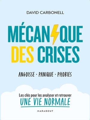 cover image of Mécanique des crises